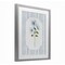 Stupell Industries Soft Blooms & Stripes Framed Print Under Glass, design by Tava Studios